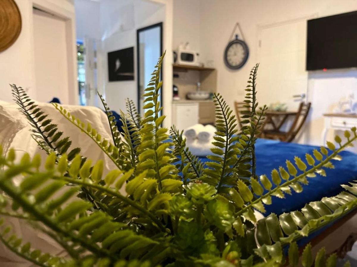 ハデラ Ahuzat Shaul Seaside Bed & Breakfast エクステリア 写真